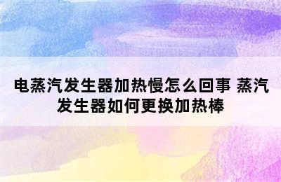 电蒸汽发生器加热慢怎么回事 蒸汽发生器如何更换加热棒